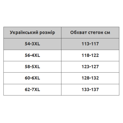 Купальник танкини с шортами большого размера Sisianna 318001-10 Бирюзовый Купальник танкини с шортами большого размера Sisianna 318001-10 Бирюзовый