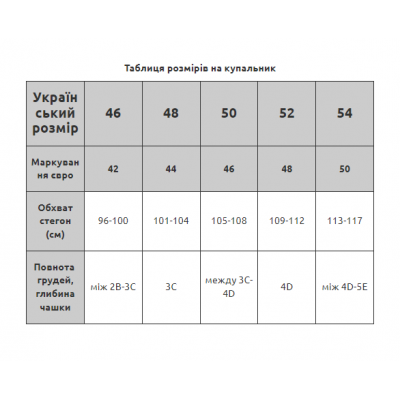 Женский слитный купальник с сеткой Z.Five 86054 Черный Женский слитный купальник с сеткой Z.Five 86054 Черный